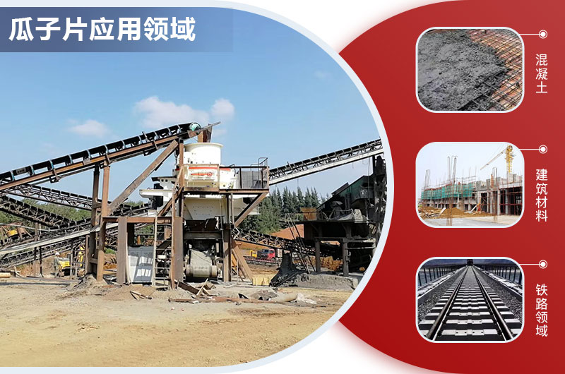 瓜子片應用領(lǐng)域